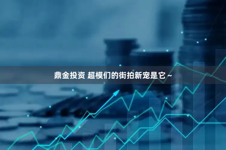 鼎金投资 超模们的街拍新宠是它～