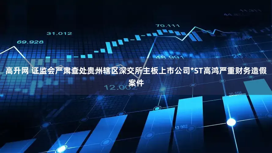 高升网 证监会严肃查处贵州辖区深交所主板上市公司*ST高鸿严重财务造假案件