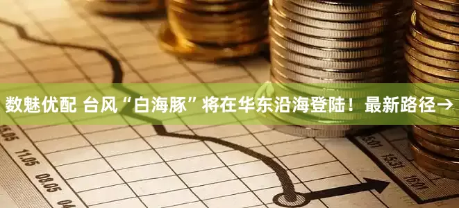 数魅优配 台风“白海豚”将在华东沿海登陆！最新路径→
