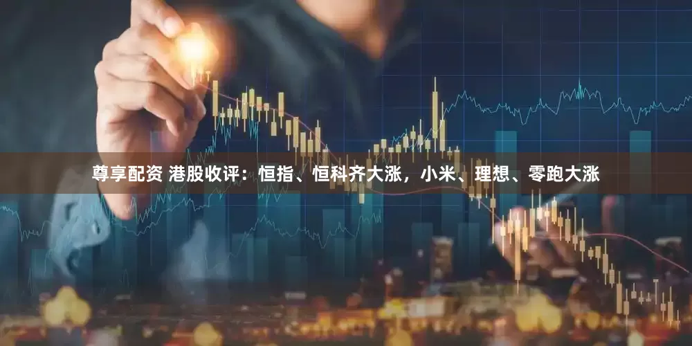 尊享配资 港股收评：恒指、恒科齐大涨，小米、理想、零跑大涨